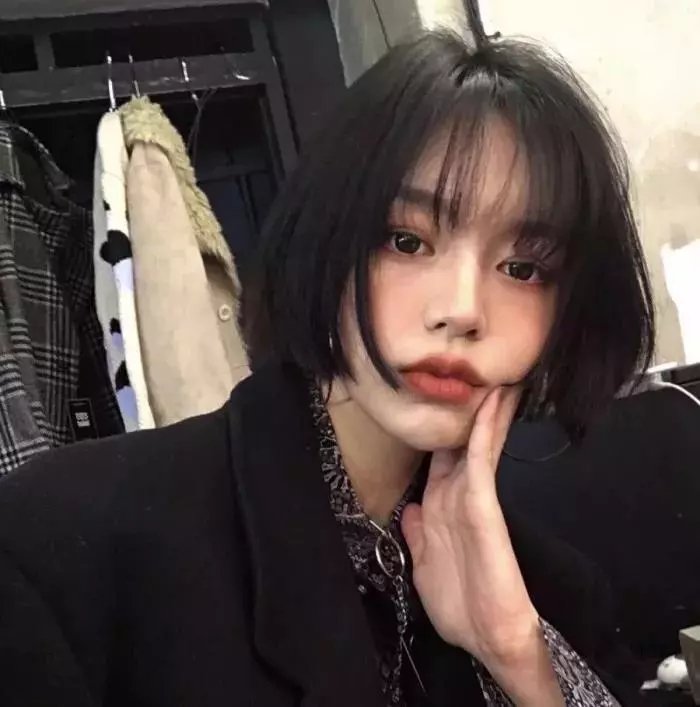 暗礁狂鲨