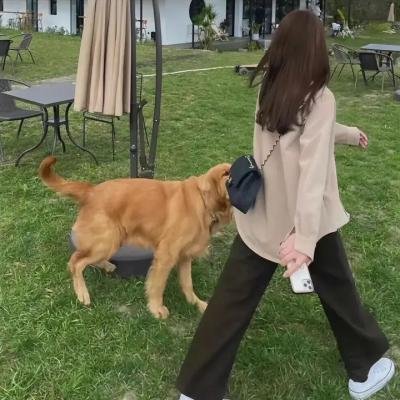 厨娘杀手